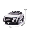 Audi E-Tron Sportback auto na akumulator 2213