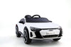 Audi RS E-TRON GT na akumulator 2216