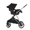 Chipolino Aura kolica za bebe 3 u1 Akcija