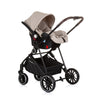 Chipolino Aura kolica za bebe 3 u1 Akcija