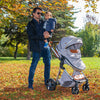 Moni Alma 2u1 kombinovana kolica - www.bebimarket.rs